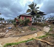 wayanad landslides